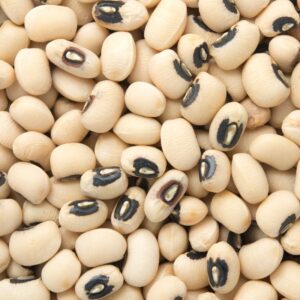 White Lobia